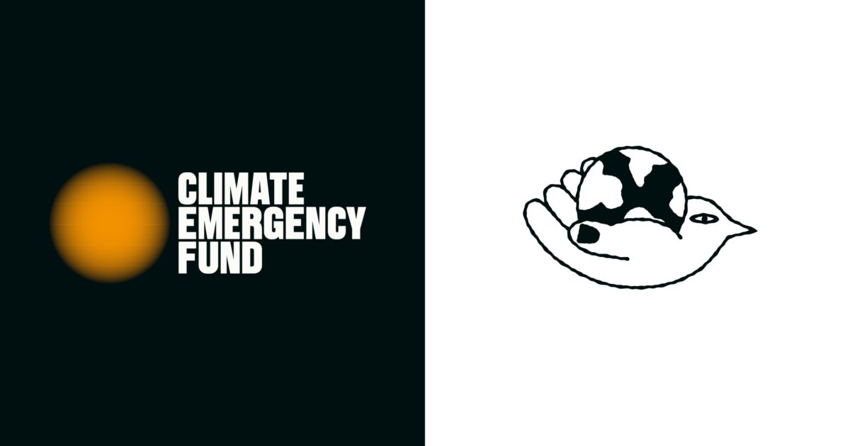 The Climate Emergency Fund Visual Identity